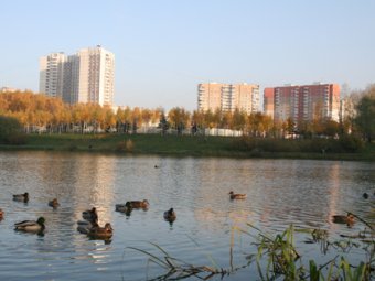   .    solncevo.zao.mos.ru