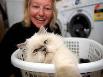  .    manly-daily.whereilive.com.au