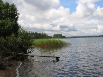  .      velyo.ru