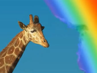     Skittles
