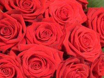    awesomeflowers.co.uk