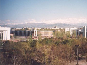 .    pictureninja.com