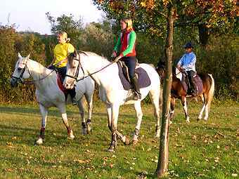    ferien4kids.at