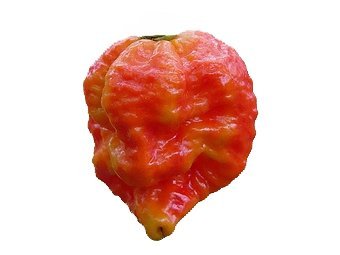  Infinity,    firefoods.co.uk