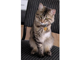 .    catchannel.com