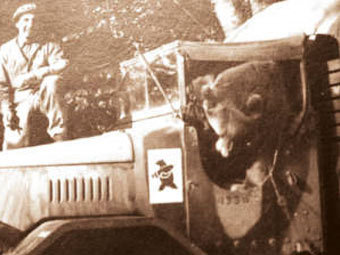    -.    ww2incolor.com
