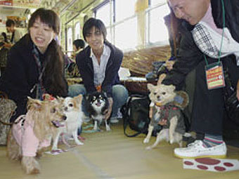   japantimes.co.jp