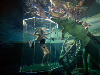     Crocosaurus Cove.    