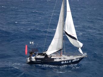    "",    .    balu-auf-reisen.de