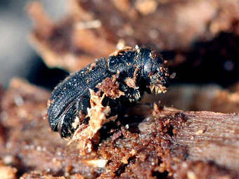   .    colorado.edu