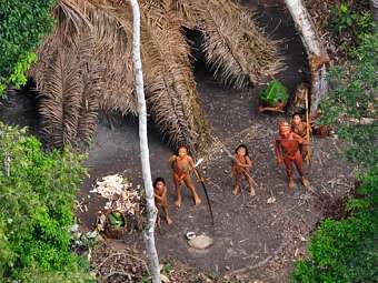     .    Survival International