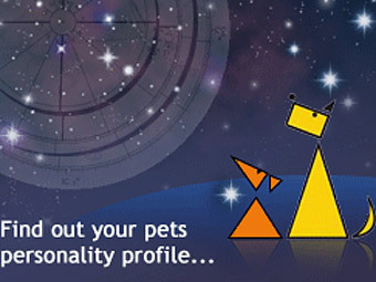    celestialpaws.co.uk