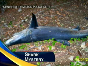 ,     WMUR