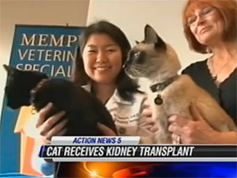  WMCTV