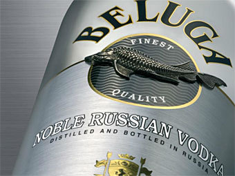    beluga.ru