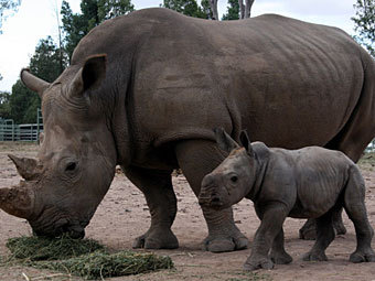  .    taronga.org.au