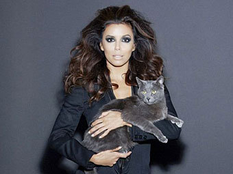     Sheba