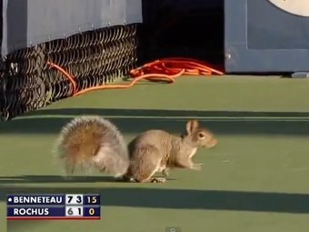   US Open.    YouTube