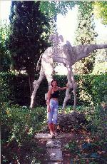 ���������